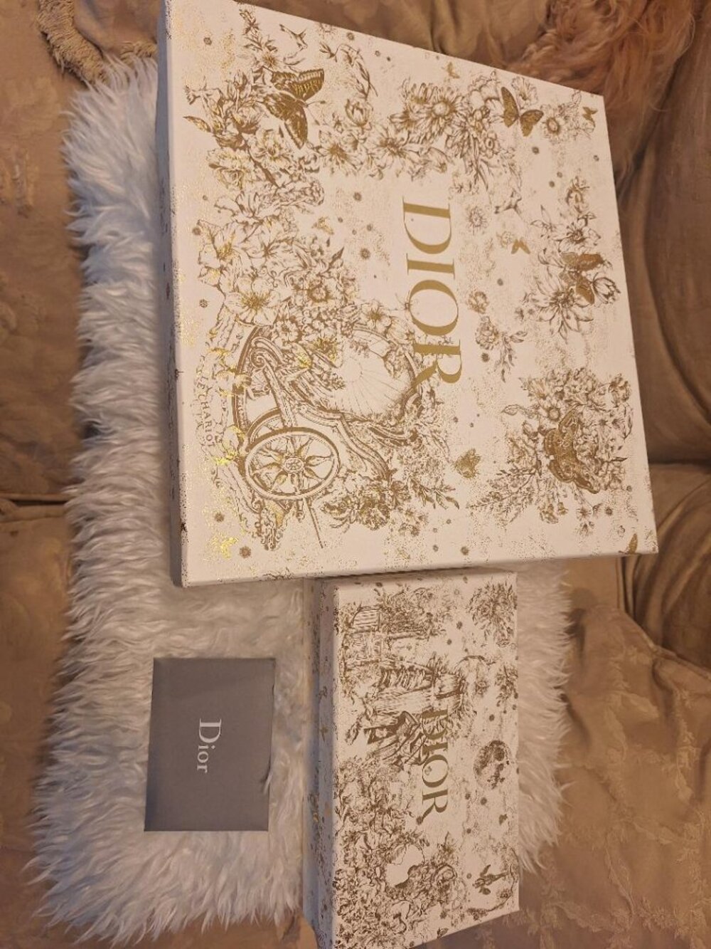 2 Christian Dior Collectors' Gold & White Holiday Gift Boxes with Buttierflies